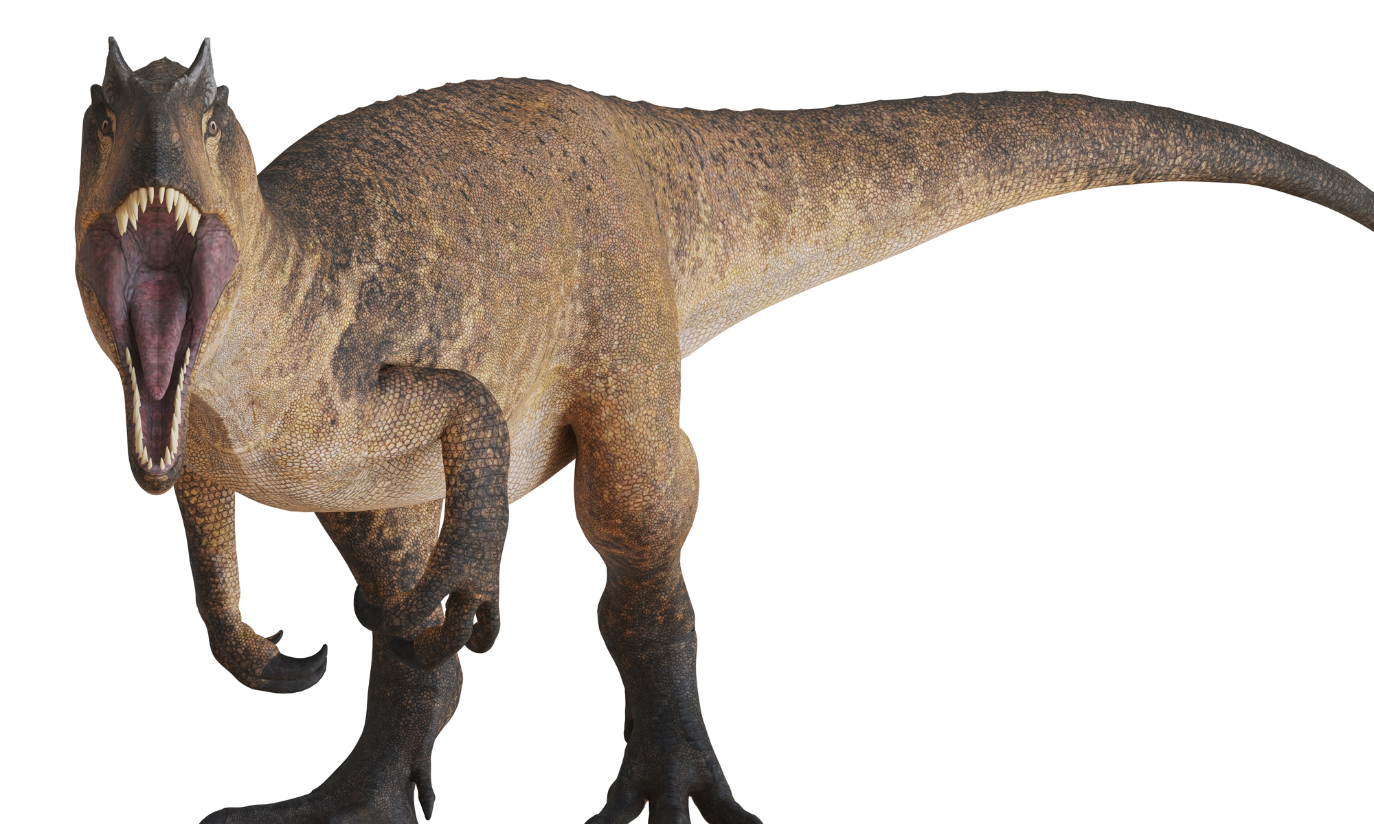 MPs should back mayors to avoid angry DINO-sores