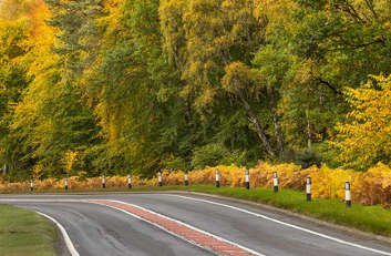 Scotland 'should prepare for driverless vehicles'