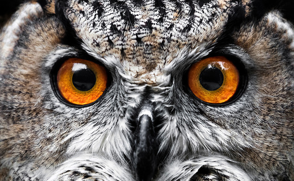 All eyes on venture as corporates and PE swoop in