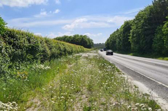 Wildflower verge to benefit bees and butterflies
