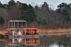 Return of the white water lilies? Fresh work to boost biodiversity 