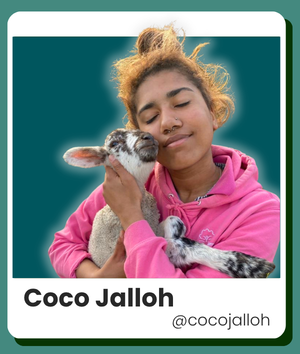 Coco Jalloh