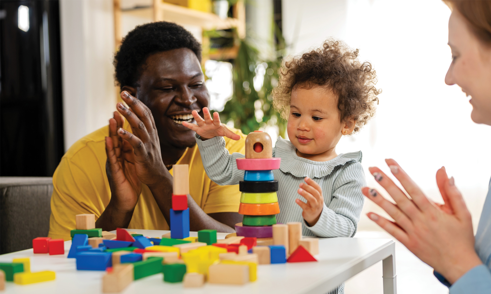 Mandated Family Group Decision Making is coming: How can we support councils?