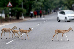 Hill and Smith helps nature thrive with naturalist app