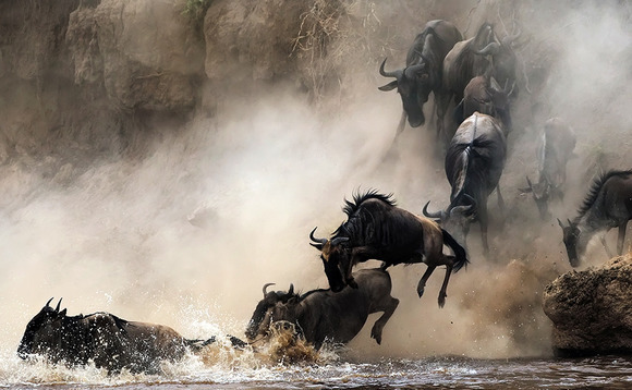 The call of Africa: Exit focus
