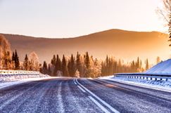 Scottish Government leads stellar Cold Comfort Scotland line-up 