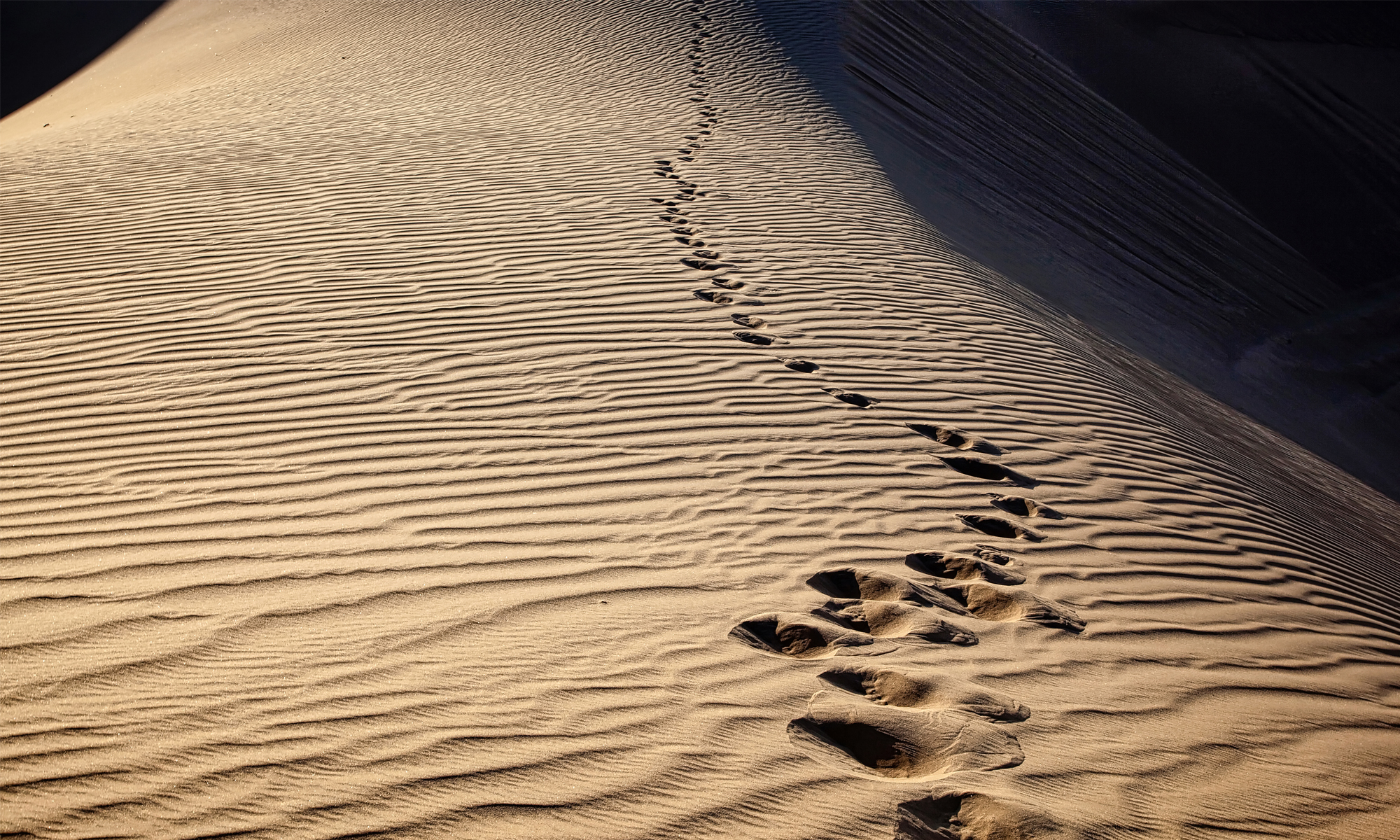 Navigating the shifting sands