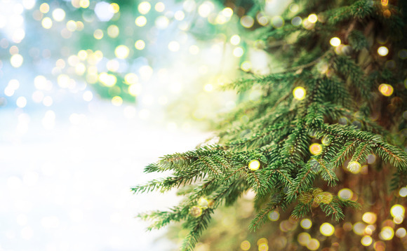Season's greetings from the unquote" team