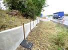 Great crested newts found on M1