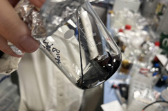 Research team creates 'bio bitumen' from algae 