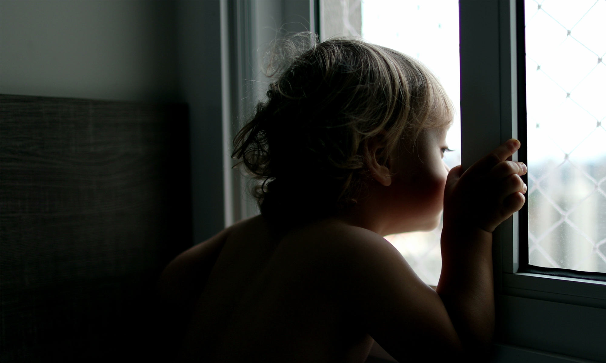 Directors warning over proposed powers for child protection authority