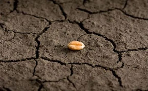 Seed financing fails to germinate 