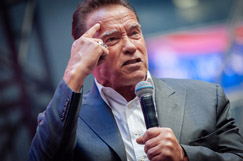 He's back: Arnie in red hot mess after terminating a pothole