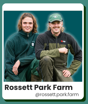 Rossett Park Farm