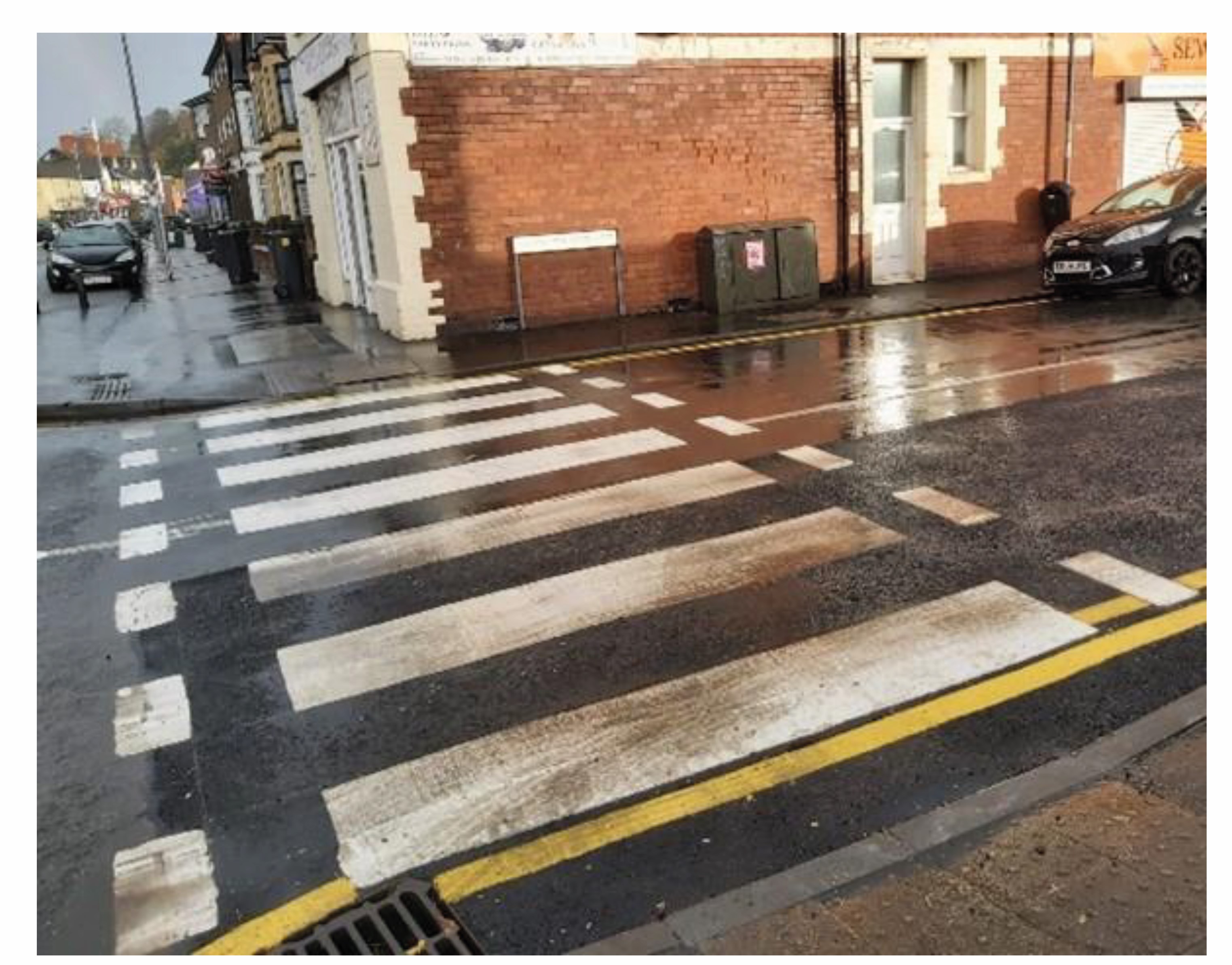 Watch out for Zebras on the side roads