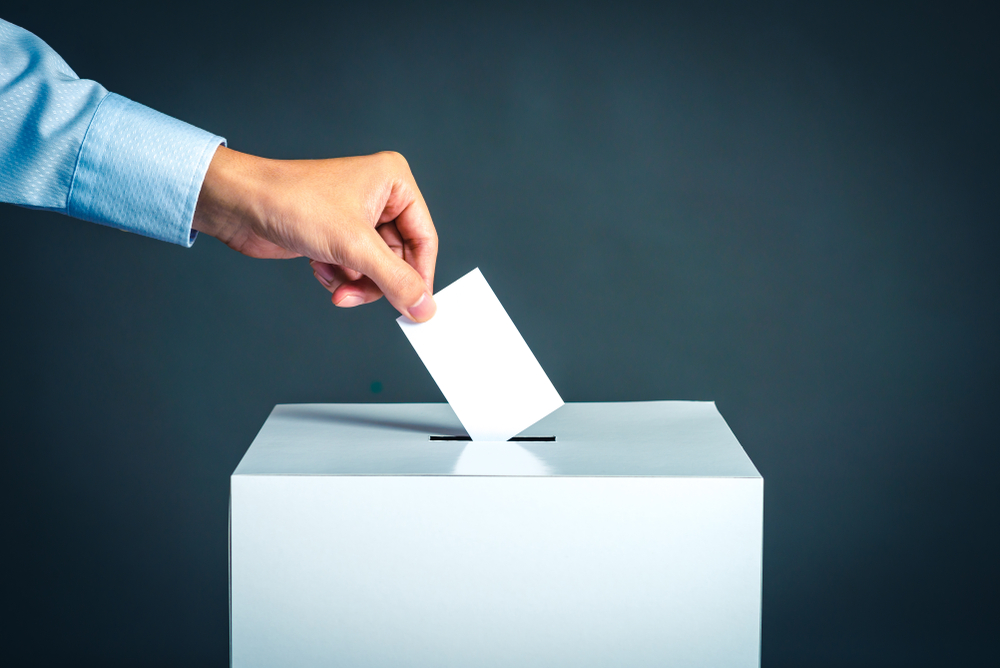 Councils urged to tackle family voting