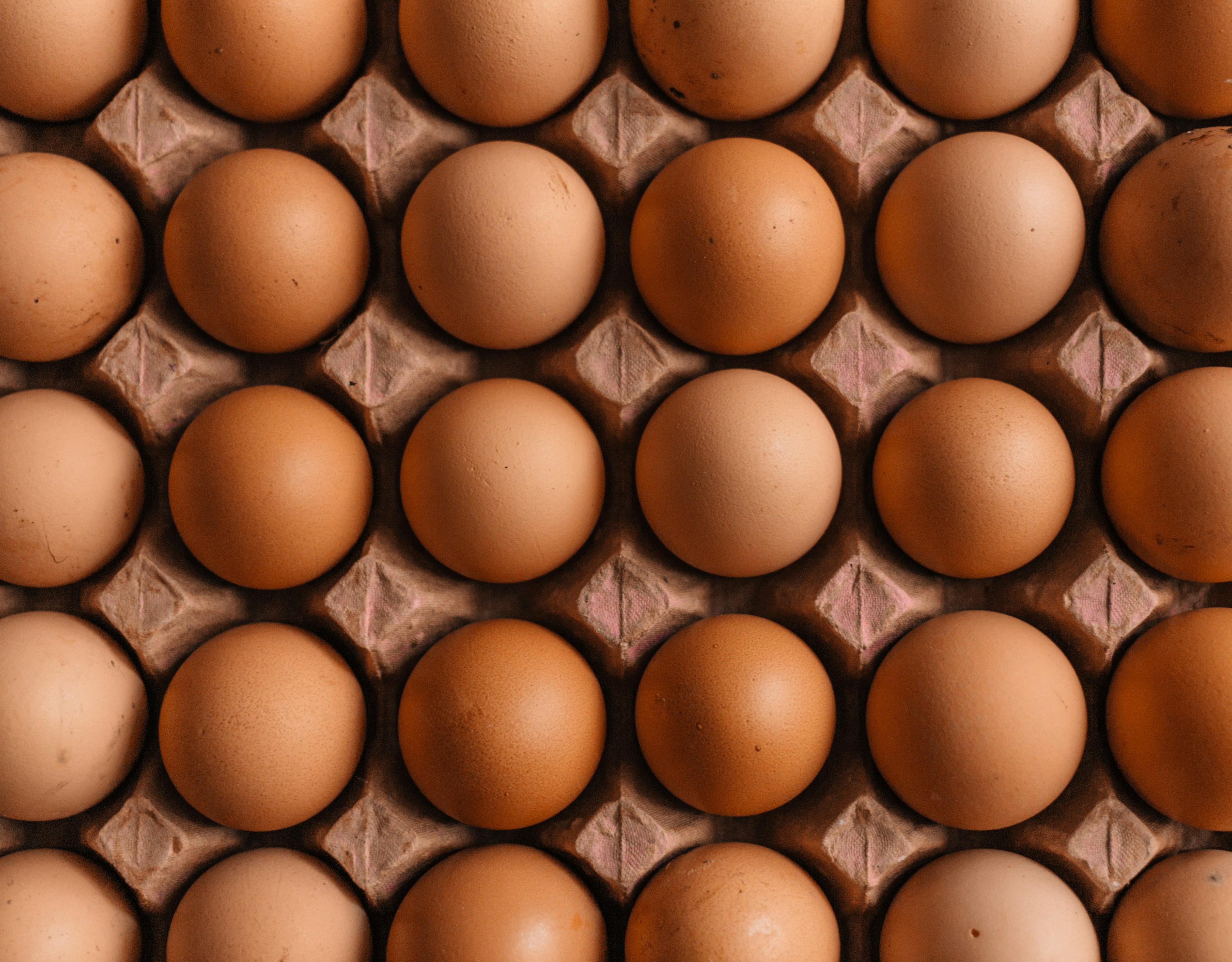 UKHSA update on salmonella outbreaks