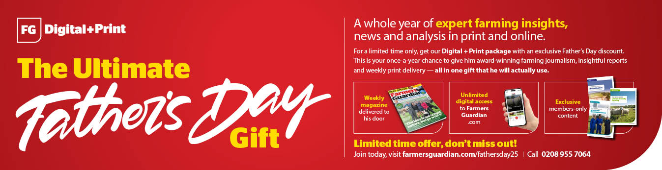 Fg 0096 father s day offer 970 250 billboard.jpg