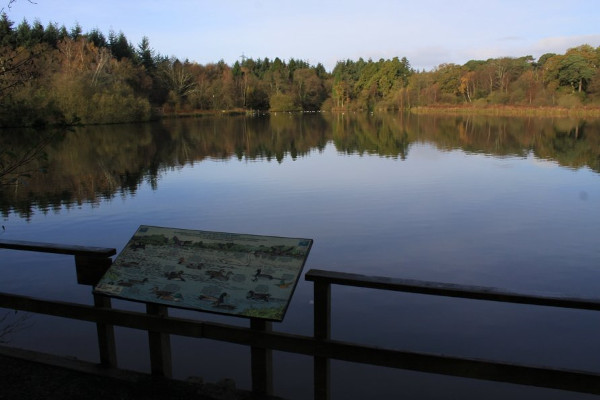 SWH runs off with £2.1m Highways England eco project