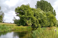 Nature gets £2m boost alongside A303