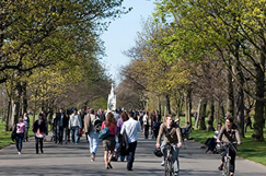 ADEPT launches customer experience toolkit