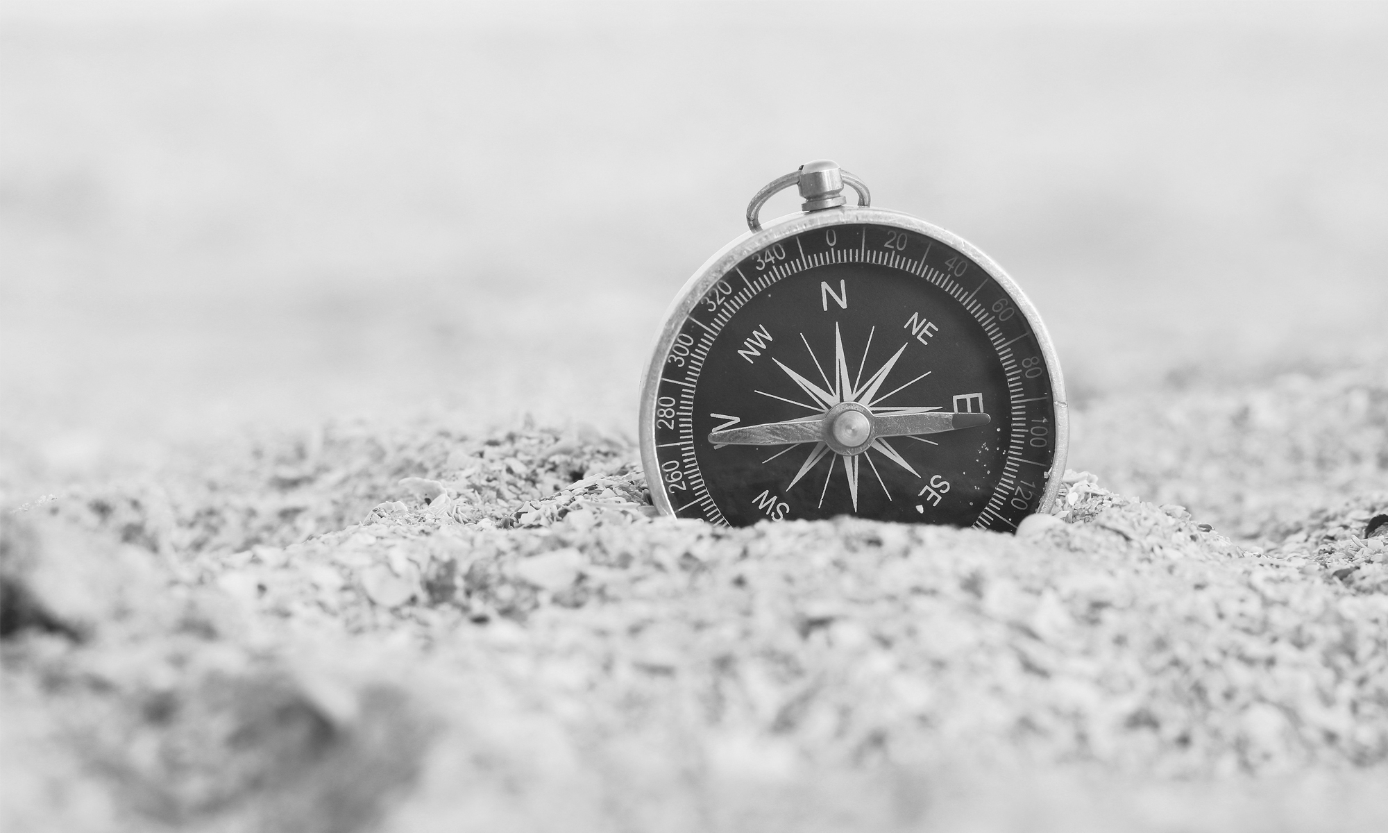 A new compass for councils