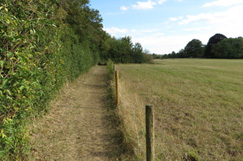 Unlawful closures of rights on way on the rise