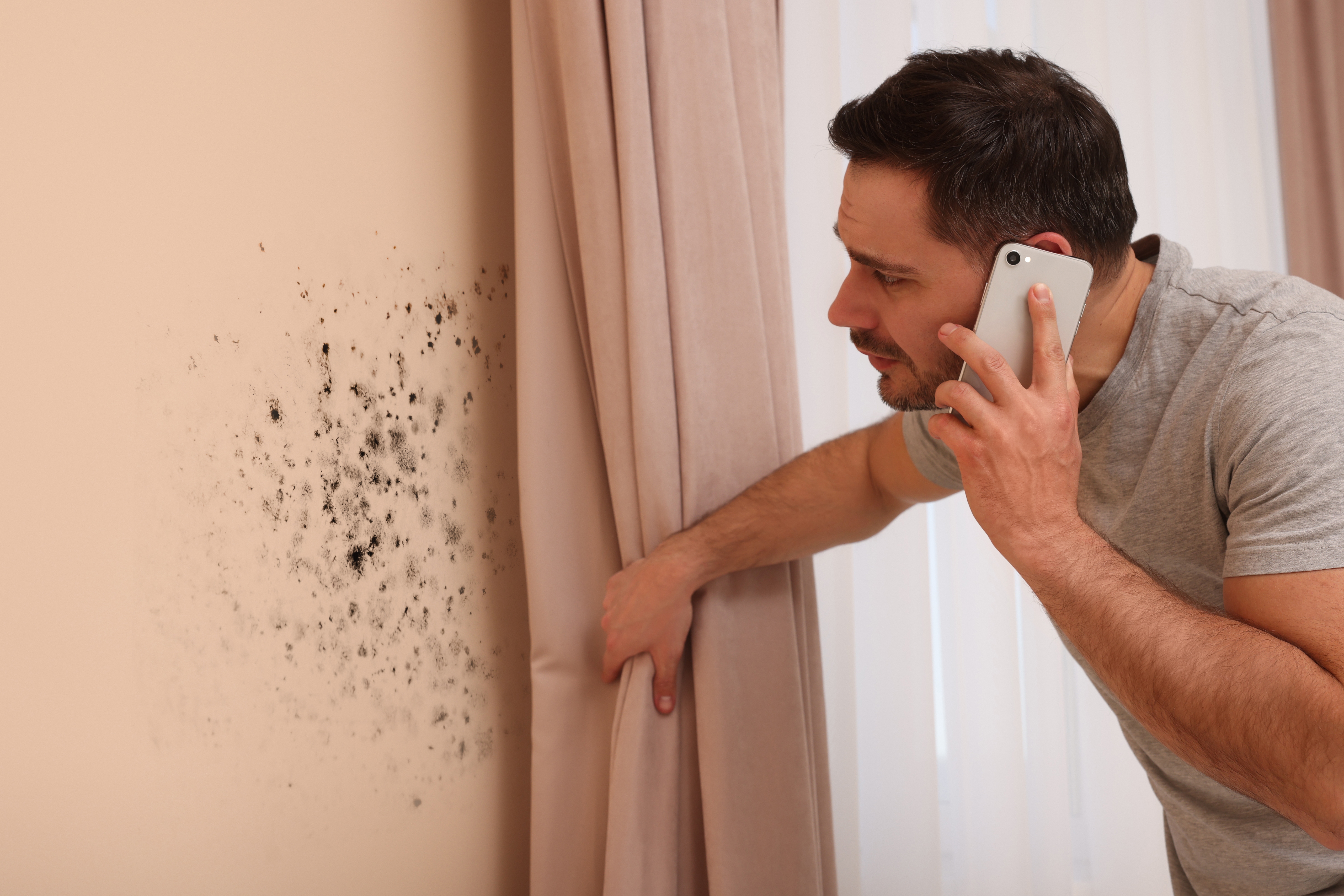 EXCLUSIVE: Sector warns Government over rental crackdown