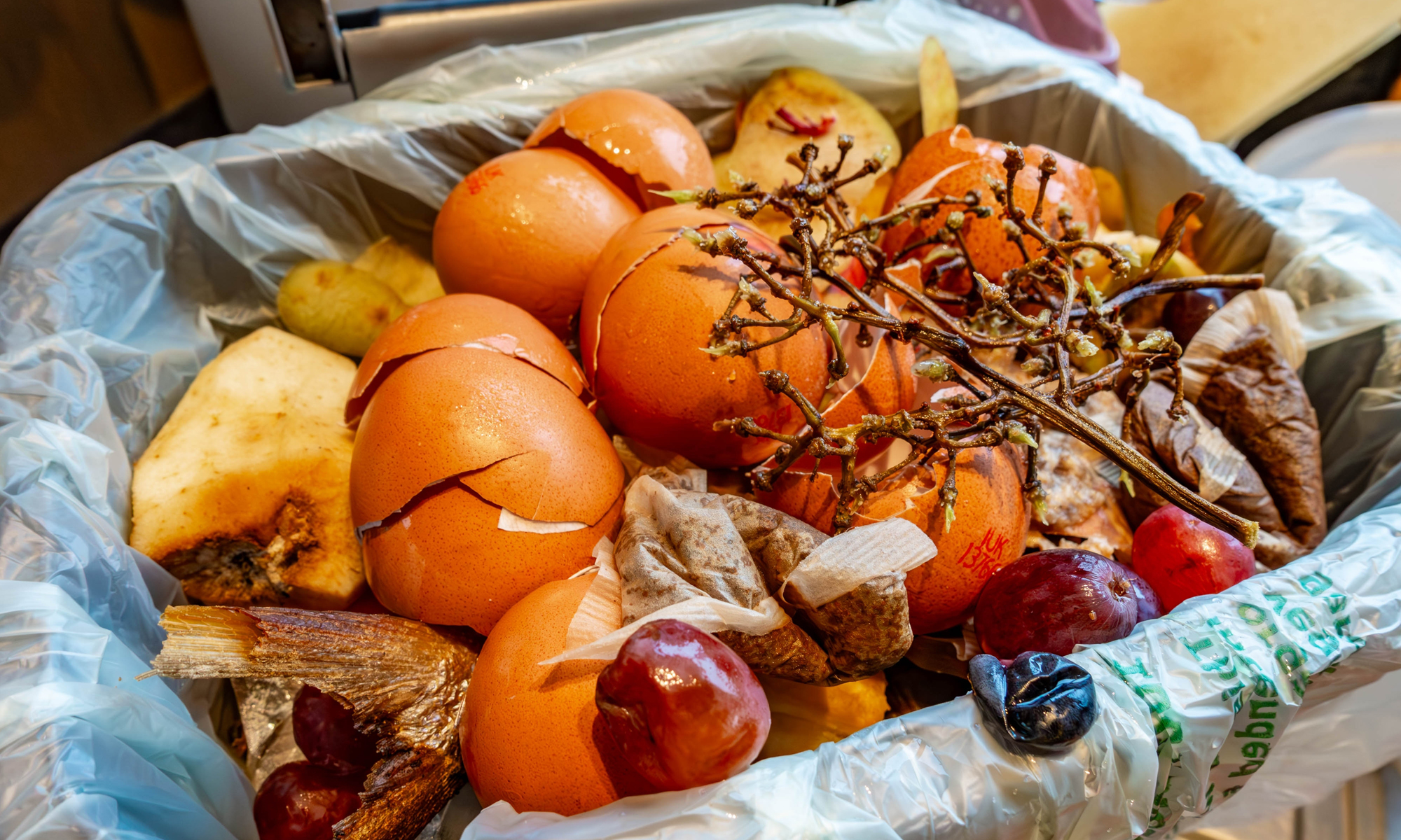 Councils bite back at food waste recycling rollout plan 
