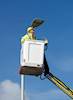 Installation of LED street lights gets underway in Wirral
