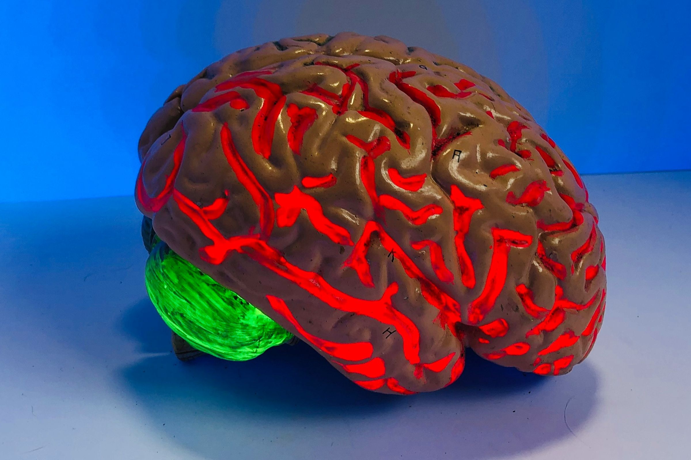 Dementia group warns of global health crisis