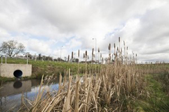 Highways England gets into fine detail with microplastics research