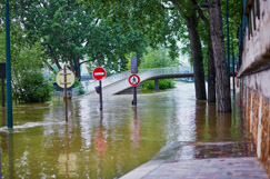 UKRLG to launch new climate board 