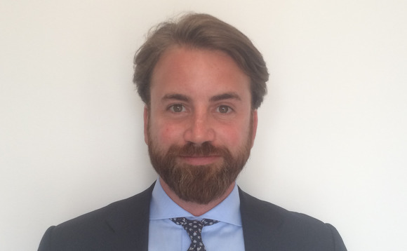 ICG names Fleischer as new vice-president