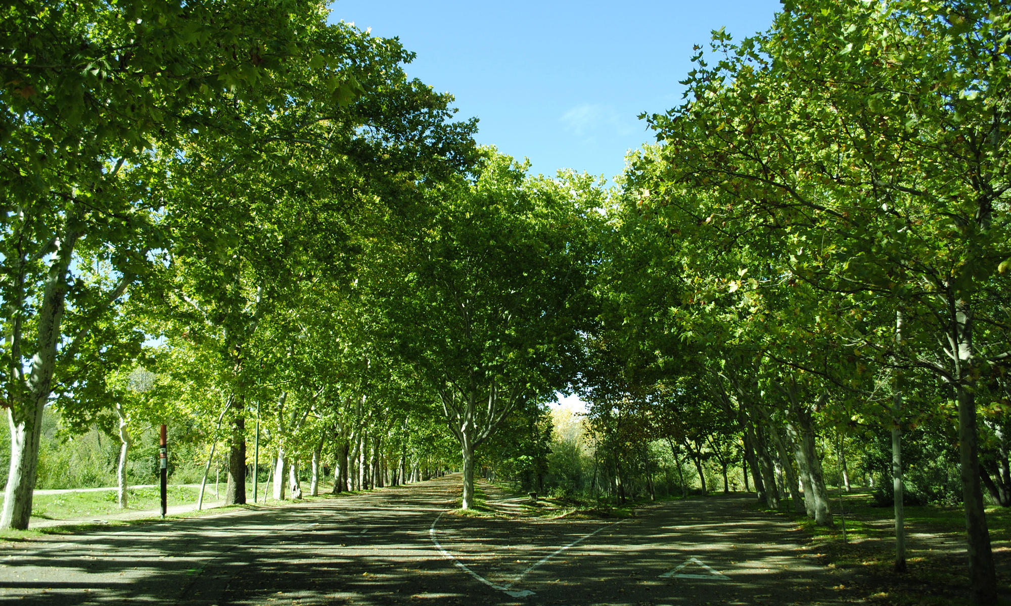 Helping mayors map a path to better places