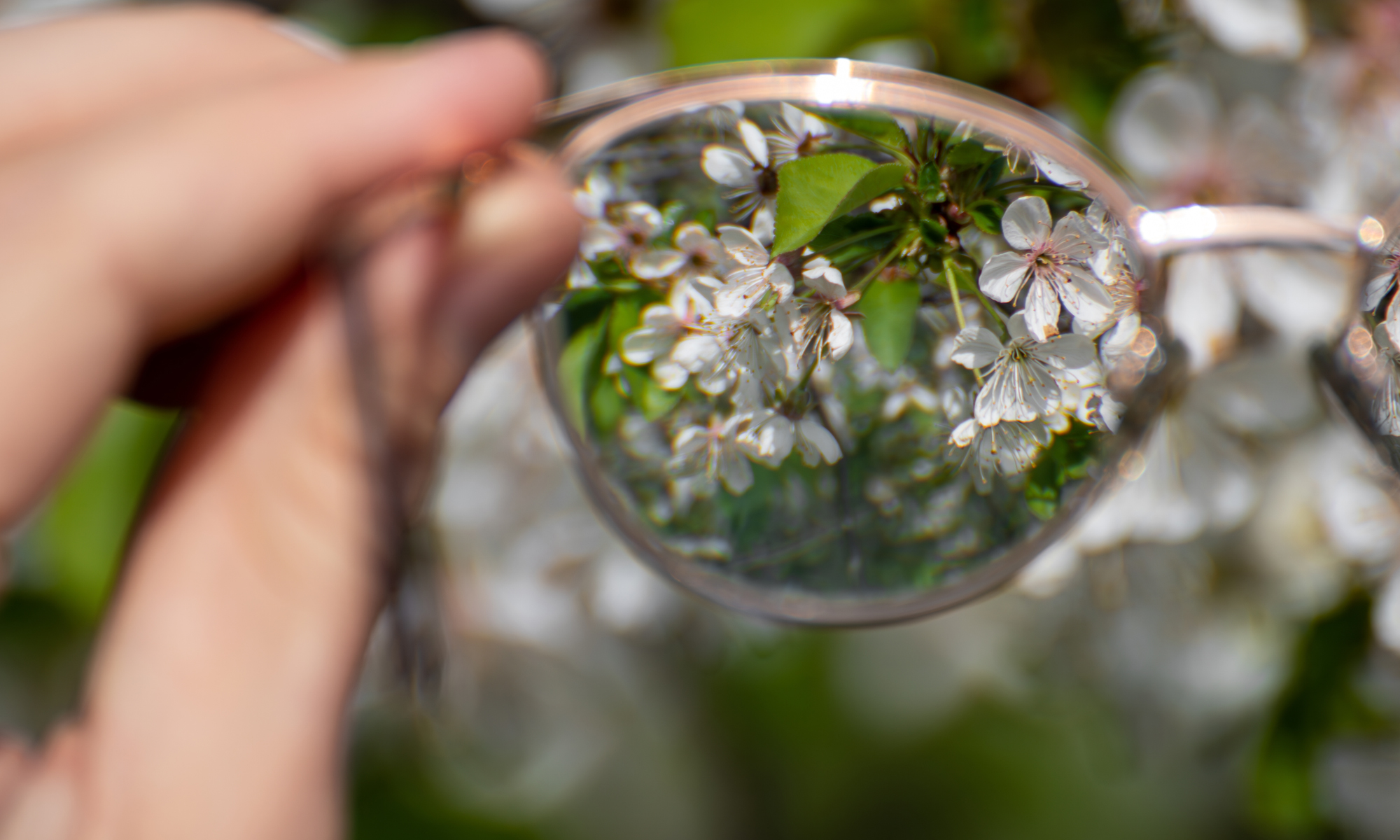 Councils need consistency and clarity from government