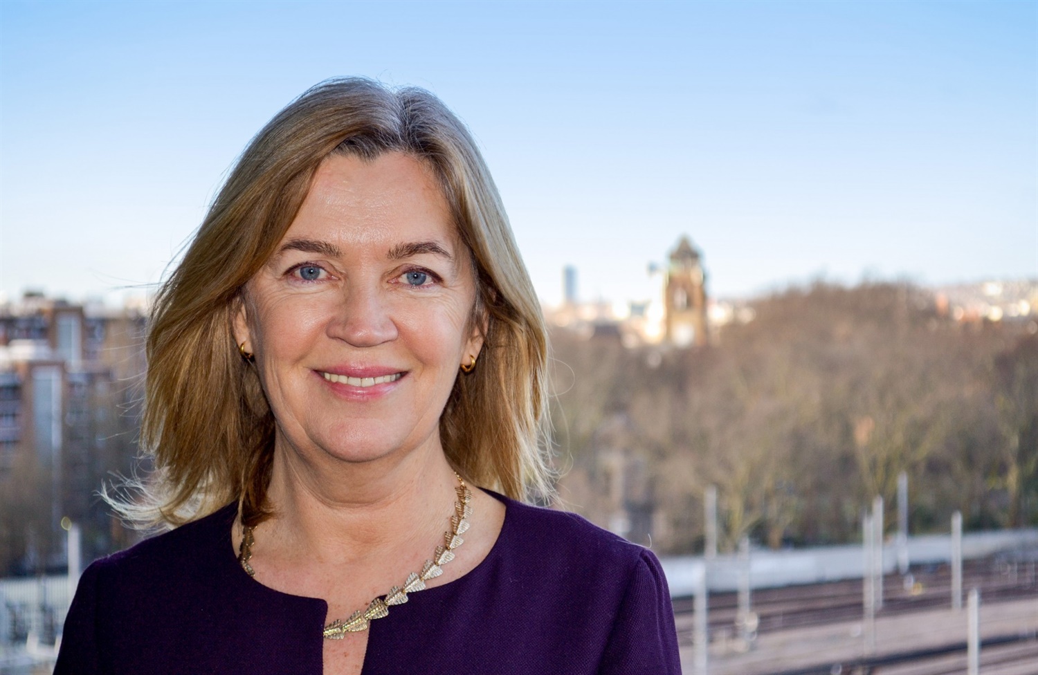 LGA interim chief revealed