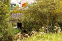 A66 planning application goes forward