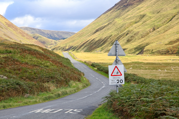 Deaths on Scottish roads increase by 12%