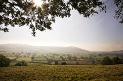 Griffiths scoops ECI deal on £38m bypass