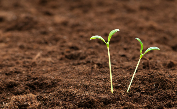 Germany: Public venture funds providing the seeds of growth