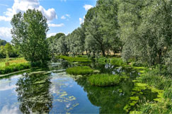 A14 scheme 'to have positive biodiversity impact'