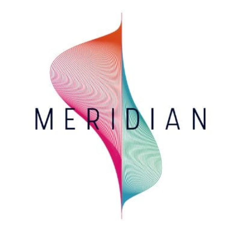 UK's Meridian project working on international standards
