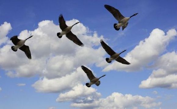 Private equity LPs flock to the Nordic region