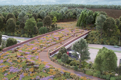 The long road to good design