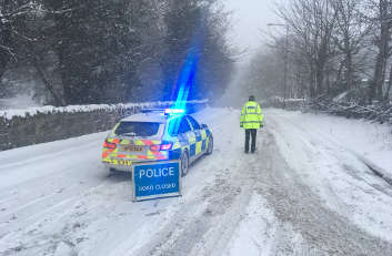 TRL looks 50:50 after latest brine trials