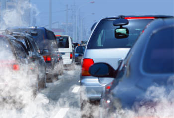 Legal experts debate Government liability for toxic air deaths