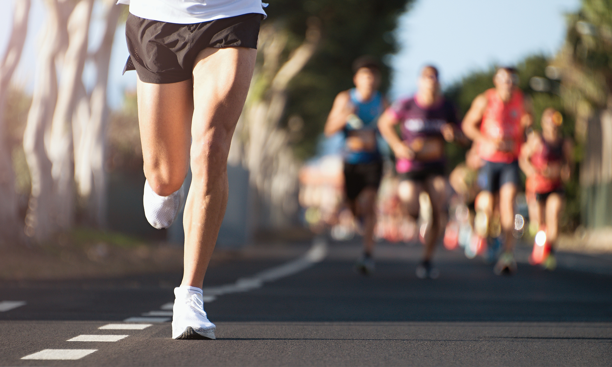 The race to embrace transformation